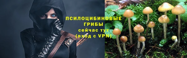 таблы Карпинск