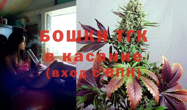 СК Касимов
