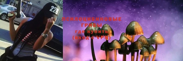 таблы Карпинск