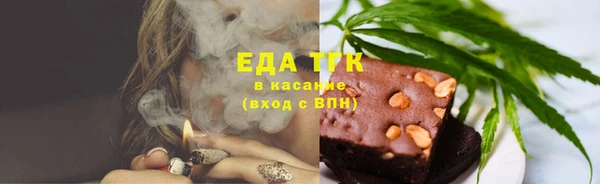 СК Касимов