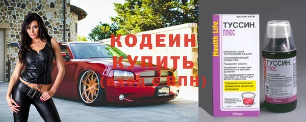 СК Касимов
