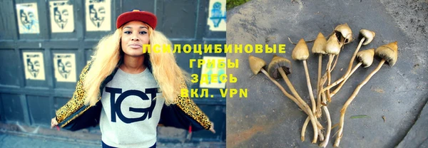 марки lsd Карталы