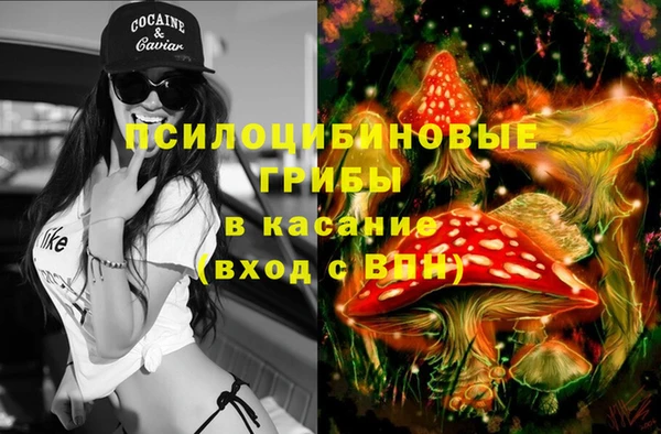 СК Касимов