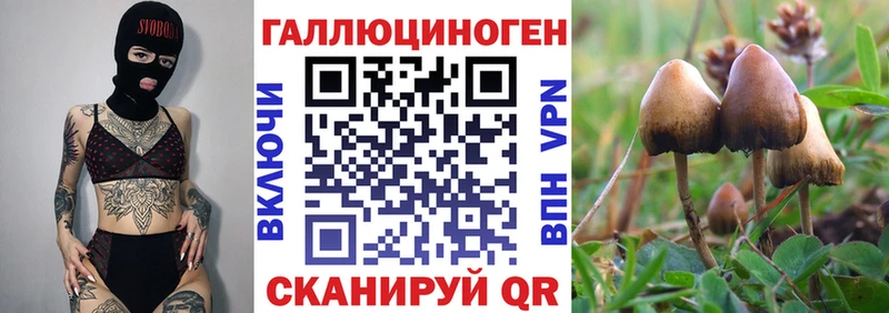 Псилоцибиновые грибы Psilocybe  Купить  Бирск 